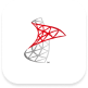 PHP development MSSQL Icon