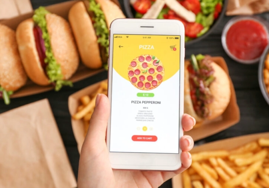 Online Food Ordering System Interface
