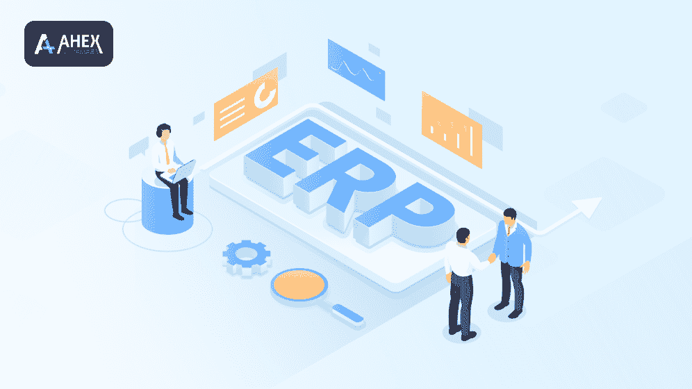 Mastering ERP Development
