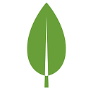 MongoDB