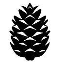 Pinecone