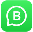 whatsapp bussiness