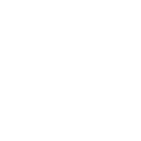 Blazing Fast Pages active icon