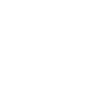 Clickjacking Protection white icon