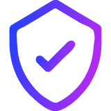 HTTPS & HSTS icon