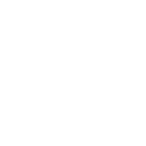 Secure Form Handling white icon
