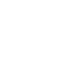 Sub resource Integrity white icon