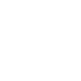 accessible icon active