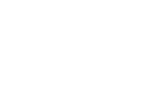 email active icon