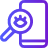 rag development service